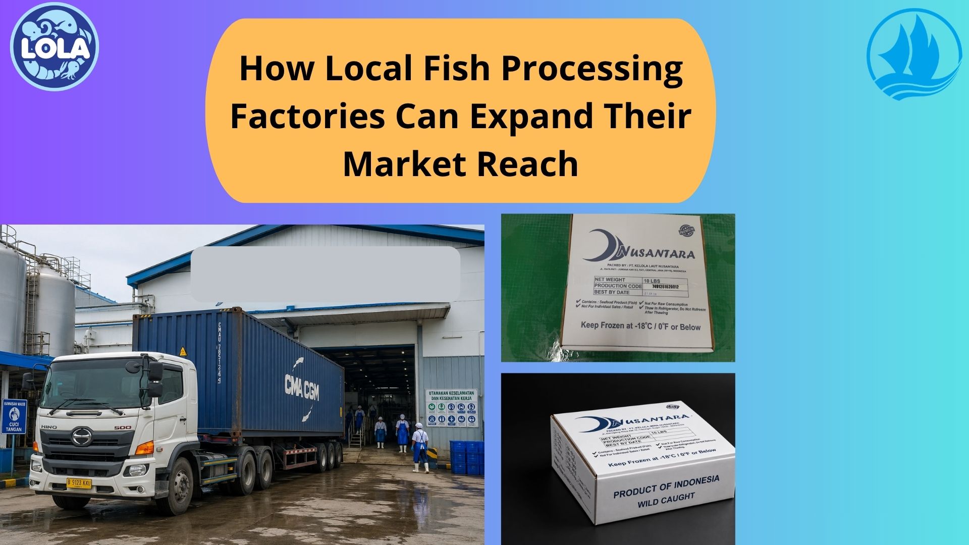 How Local Fish Processing Factories Can Expand Their Market Reach